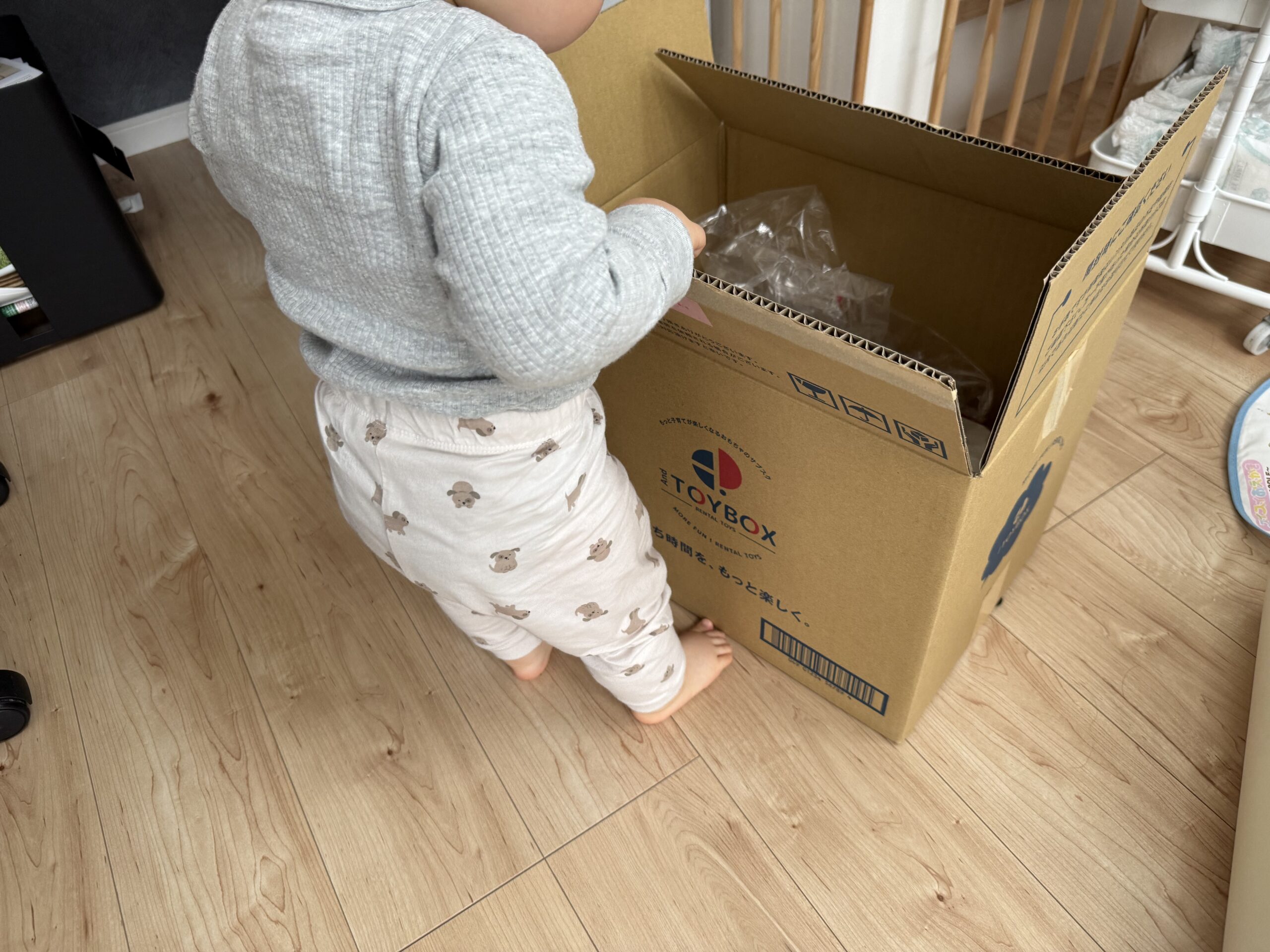 AND TOYBOXの段ボールを覗き込む息子
