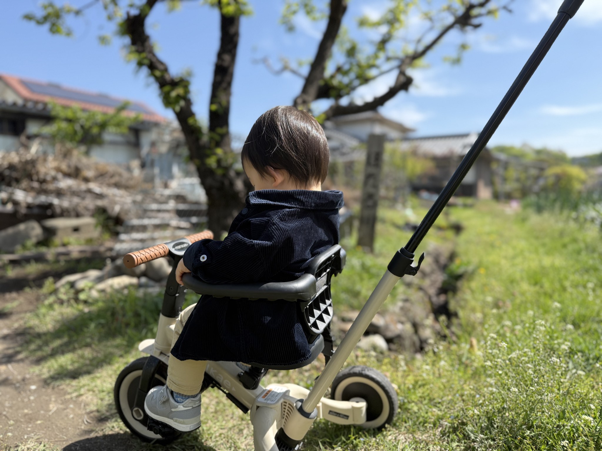 緑の小道を押し棒付き三輪車でお散歩する様子