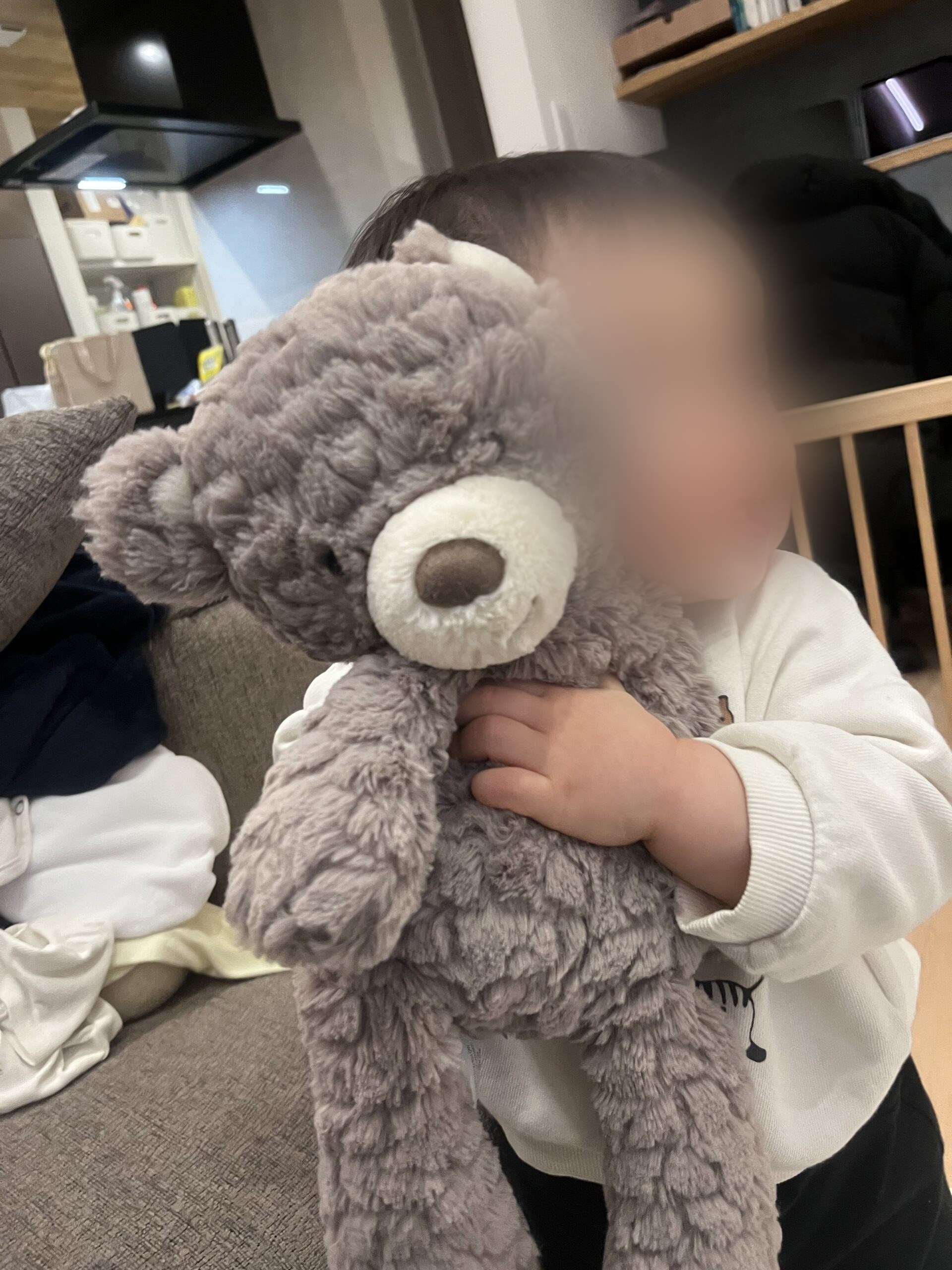 テディベアの顔を抱きしめる息子のお気に入りカット